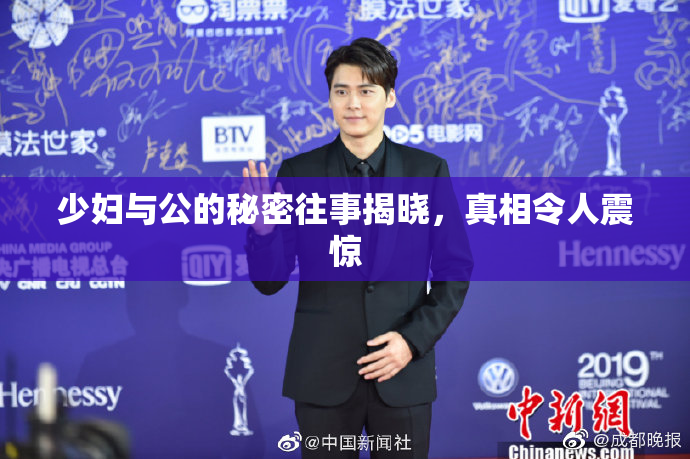 少妇与公的秘密往事揭晓，真相令人震惊