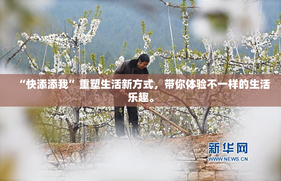 “快添添我”重塑生活新方式，带你体验不一样的生活乐趣。