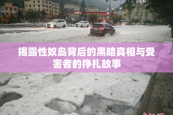 揭露性奴岛背后的黑暗真相与受害者的挣扎故事