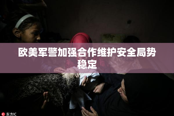 欧美军警加强合作维护安全局势稳定