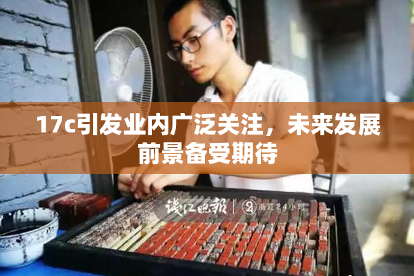 17c引发业内广泛关注，未来发展前景备受期待