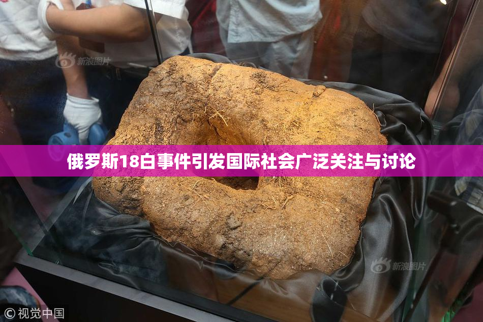 俄罗斯18白事件引发国际社会广泛关注与讨论