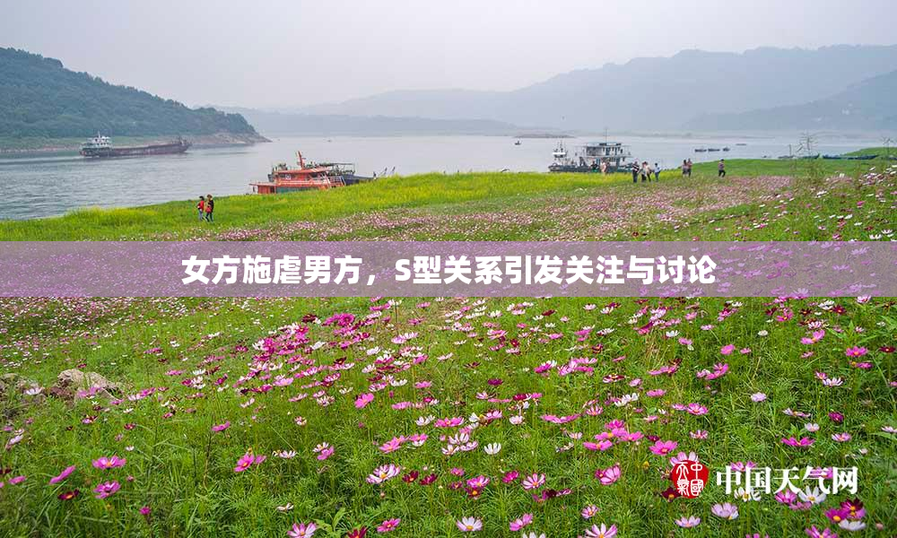 女方施虐男方，S型关系引发关注与讨论