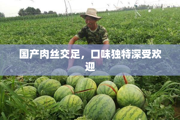 国产肉丝交足，口味独特深受欢迎