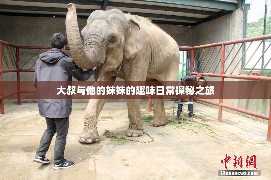 大叔与他的妹妹的趣味日常探秘之旅