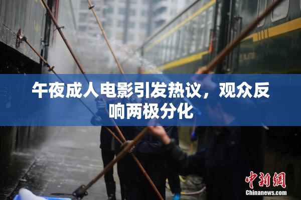 午夜成人电影引发热议，观众反响两极分化