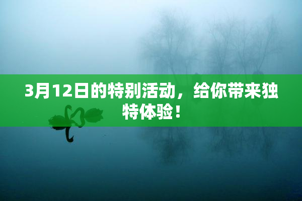 3月12日的特别活动，给你带来独特体验！