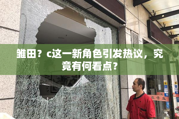 雏田？c这一新角色引发热议，究竟有何看点？