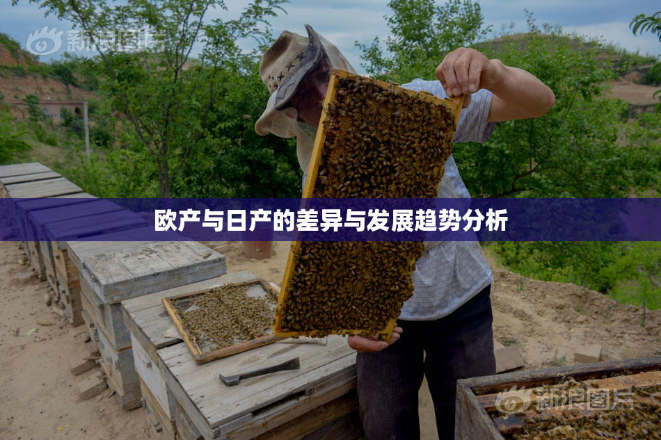 欧产与日产的差异与发展趋势分析