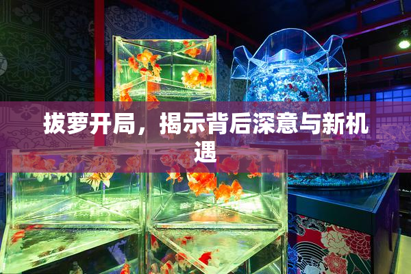 拔萝开局，揭示背后深意与新机遇