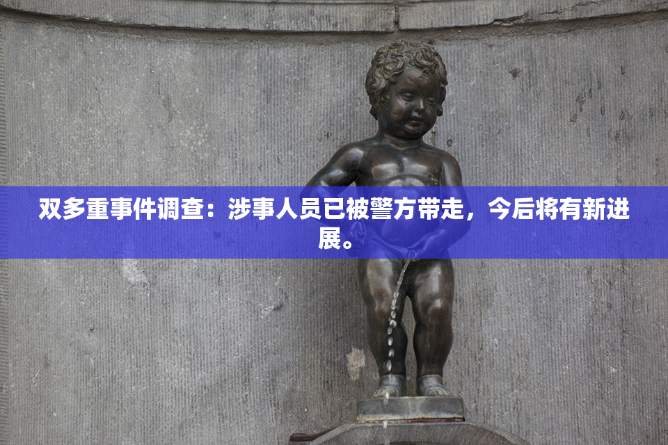 双多重事件调查：涉事人员已被警方带走，今后将有新进展。