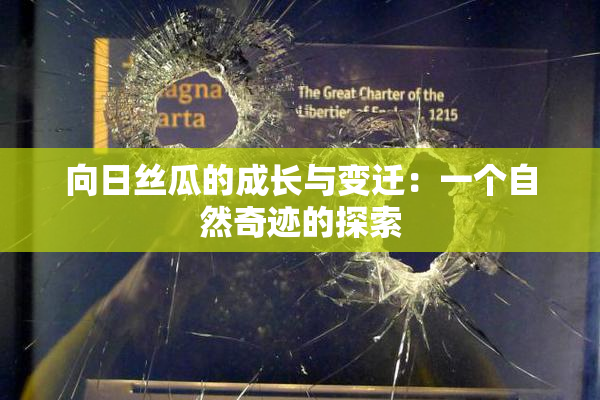 向日丝瓜的成长与变迁：一个自然奇迹的探索