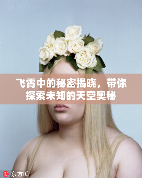 飞霄中的秘密揭晓，带你探索未知的天空奥秘
