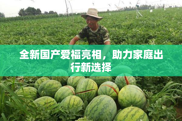 全新国产爱福亮相，助力家庭出行新选择