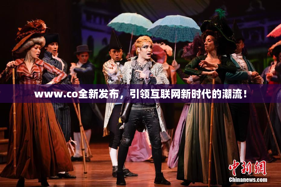 www.co全新发布，引领互联网新时代的潮流！