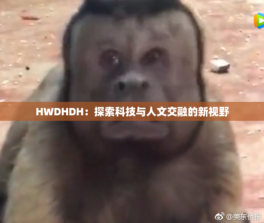 HWDHDH：探索科技与人文交融的新视野