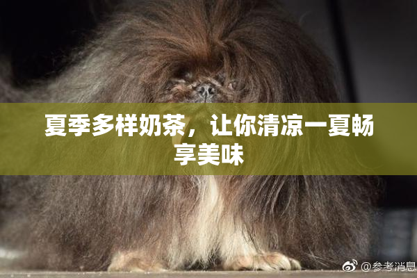夏季多样奶茶，让你清凉一夏畅享美味