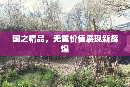 国之精品，无重价值展现新辉煌