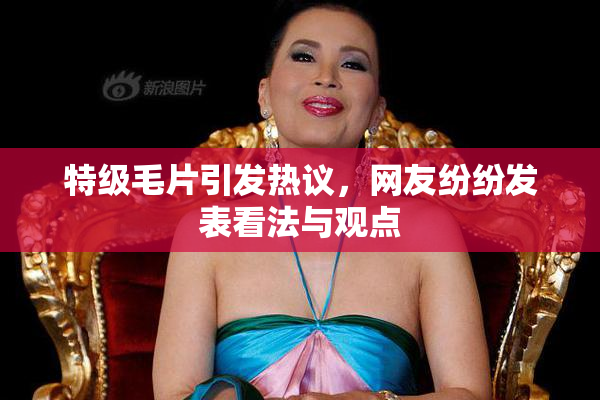 特级毛片引发热议，网友纷纷发表看法与观点