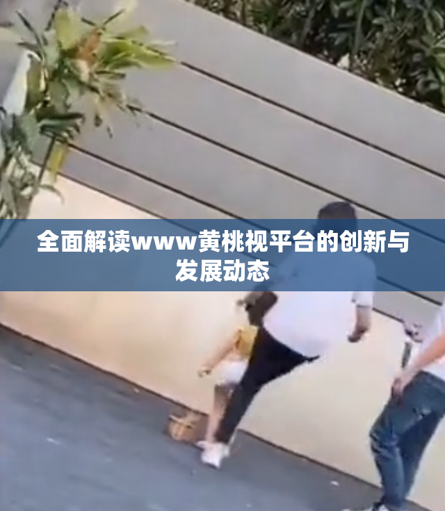 全面解读www黄桃视平台的创新与发展动态