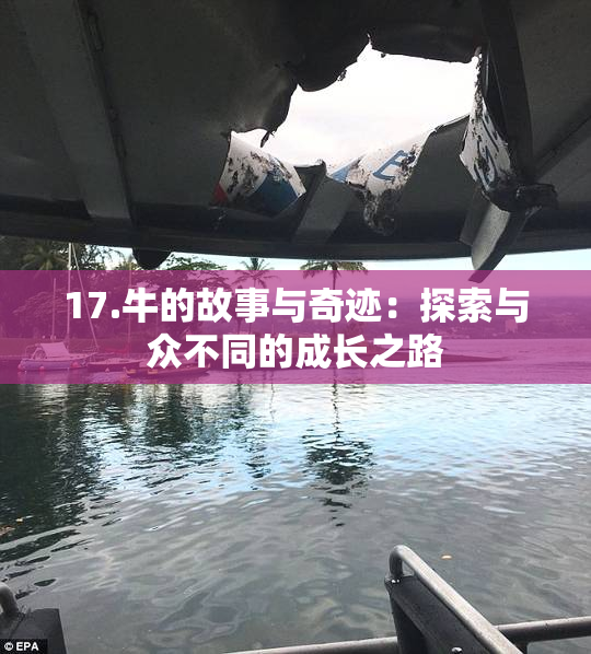 17.牛的故事与奇迹：探索与众不同的成长之路