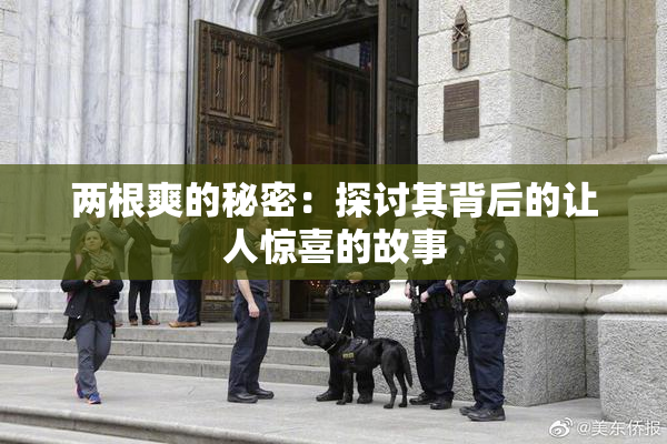 两根爽的秘密：探讨其背后的让人惊喜的故事