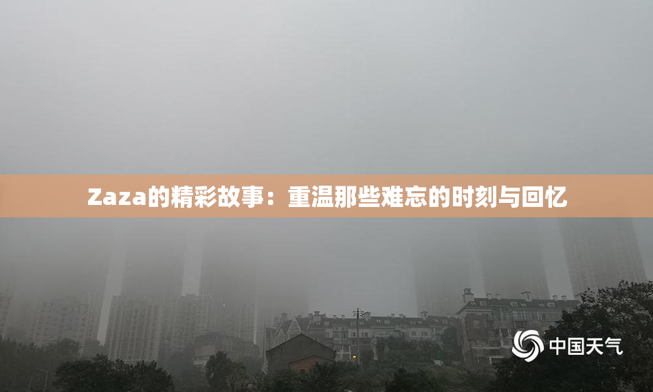 Zaza的精彩故事：重温那些难忘的时刻与回忆