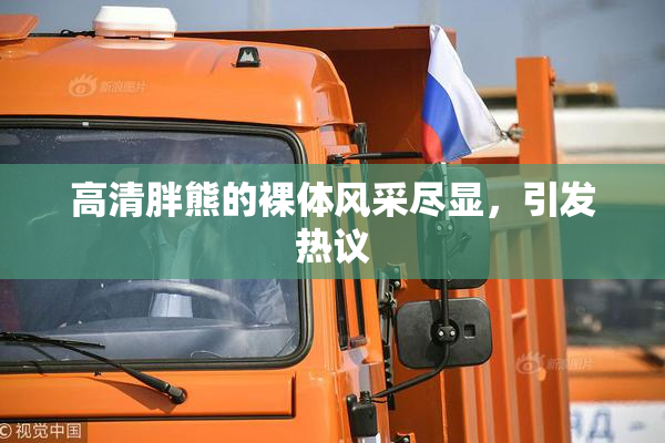高清胖熊的裸体风采尽显，引发热议