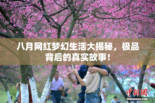 八月网红梦幻生活大揭秘，极品背后的真实故事！
