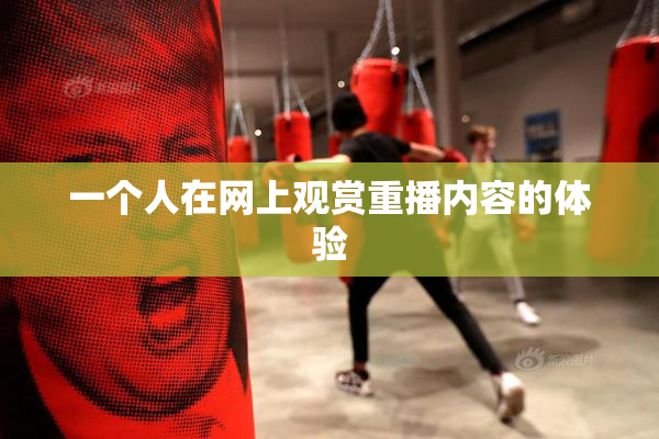 一个人在网上观赏重播内容的体验