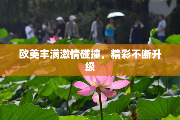 欧美丰满激情碰撞，精彩不断升级