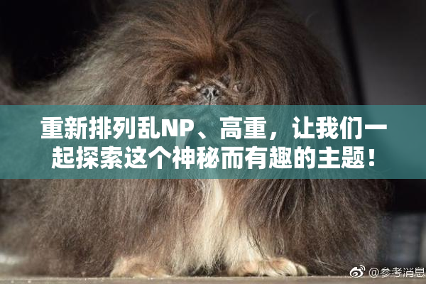 重新排列乱NP、高重，让我们一起探索这个神秘而有趣的主题！