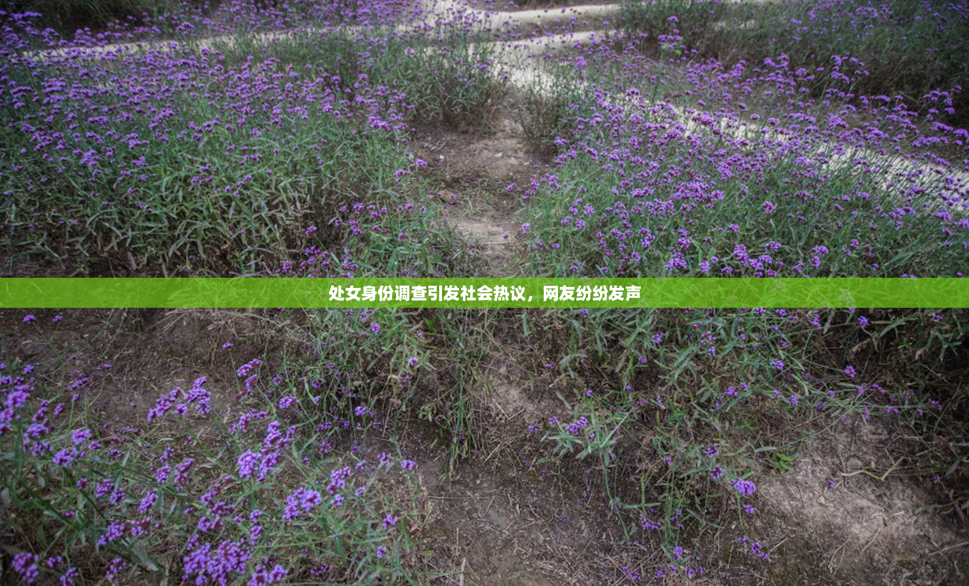 处女身份调查引发社会热议，网友纷纷发声