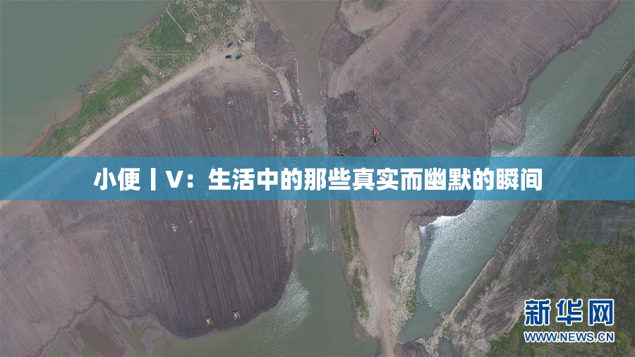 小便丨V：生活中的那些真实而幽默的瞬间