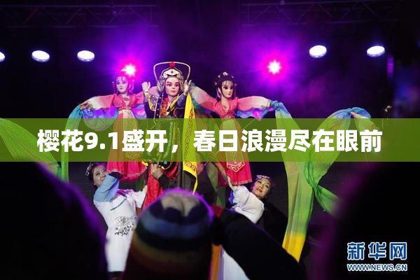 樱花9.1盛开，春日浪漫尽在眼前