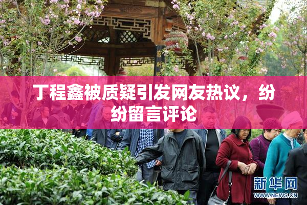 丁程鑫被质疑引发网友热议，纷纷留言评论
