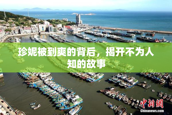 珍妮被到爽的背后，揭开不为人知的故事