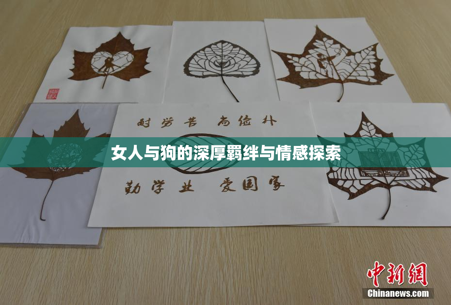 女人与狗的深厚羁绊与情感探索