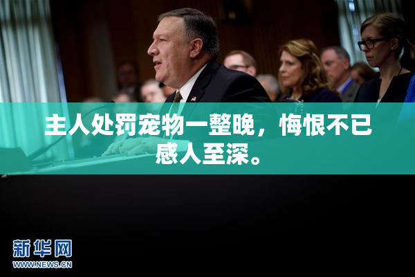 主人处罚宠物一整晚，悔恨不已感人至深。