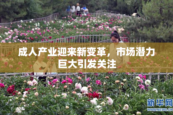 成人产业迎来新变革，市场潜力巨大引发关注