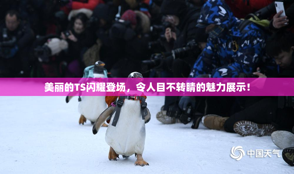 美丽的TS闪耀登场，令人目不转睛的魅力展示！