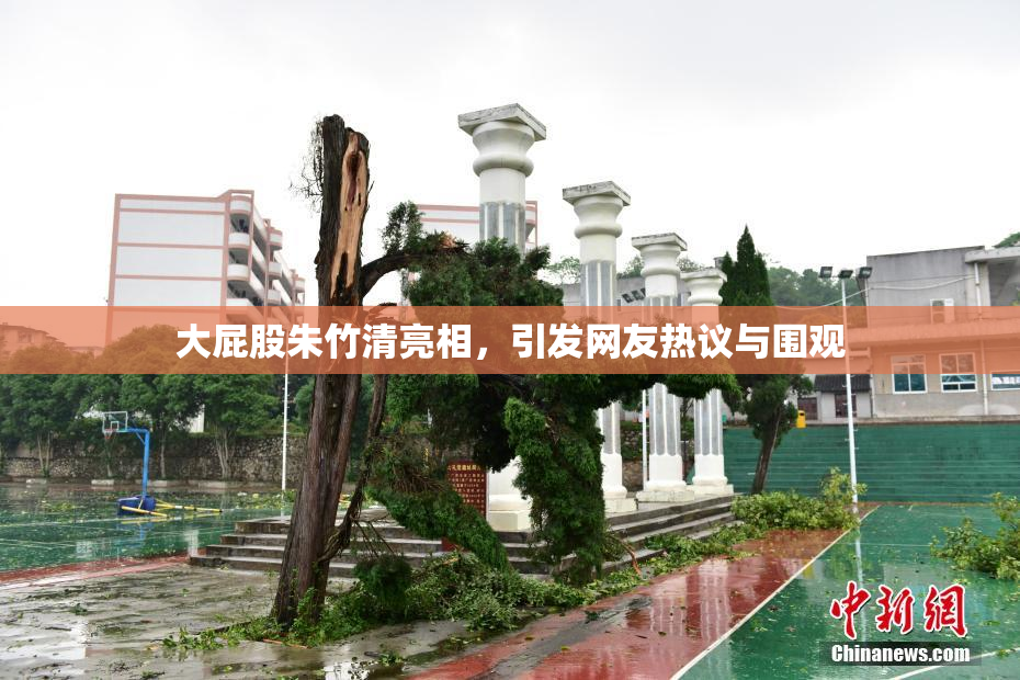 大屁股朱竹清亮相，引发网友热议与围观
