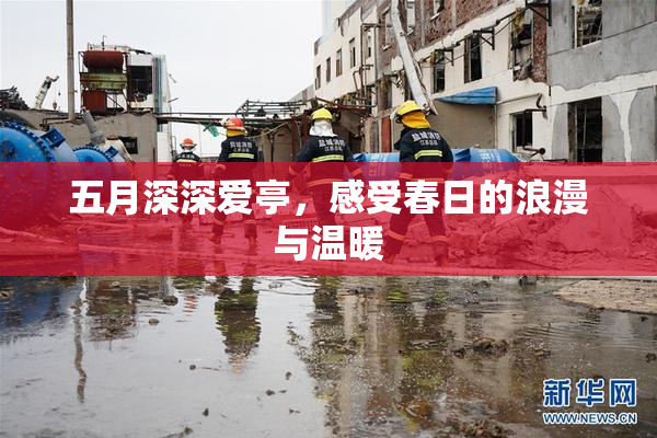五月深深爱亭，感受春日的浪漫与温暖