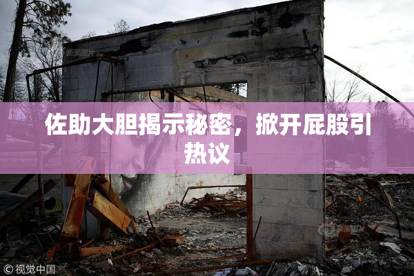 佐助大胆揭示秘密，掀开屁股引热议