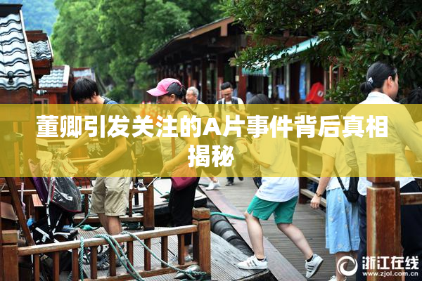 董卿引发关注的A片事件背后真相揭秘