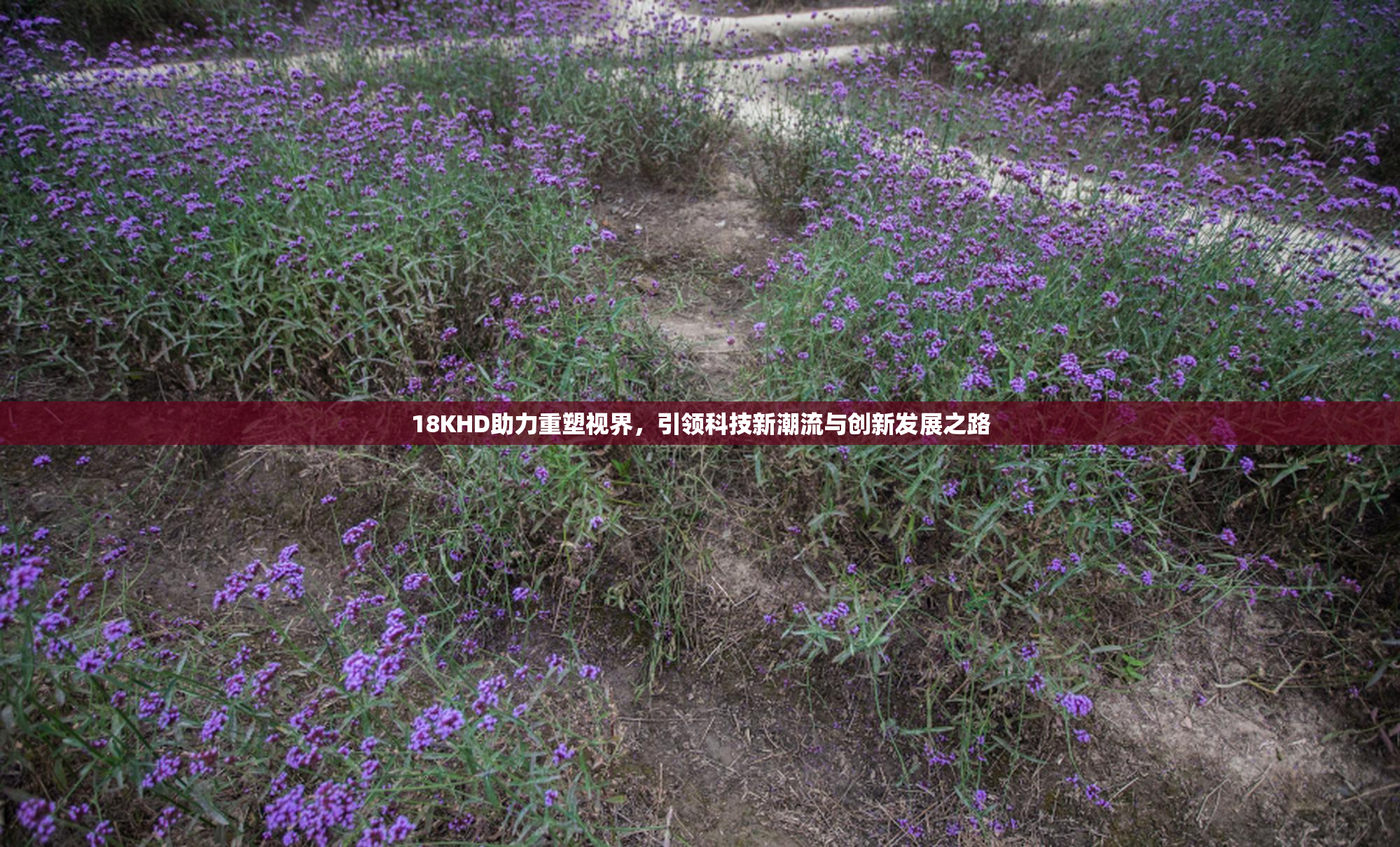 18KHD助力重塑视界，引领科技新潮流与创新发展之路