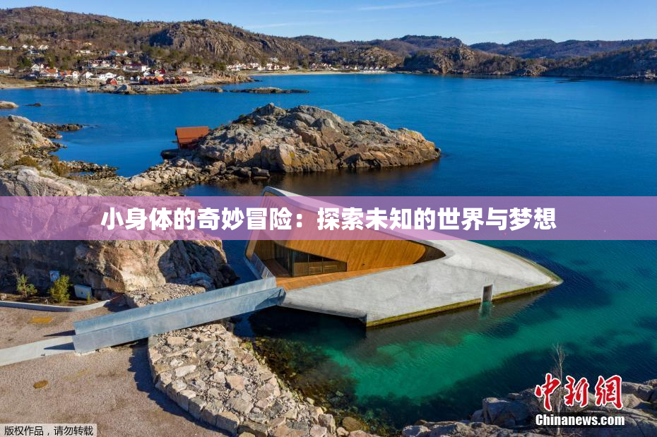 小身体的奇妙冒险：探索未知的世界与梦想