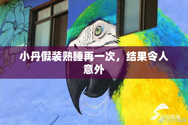 小丹假装熟睡再一次，结果令人意外