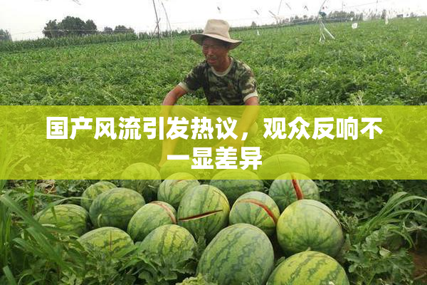 国产风流引发热议，观众反响不一显差异