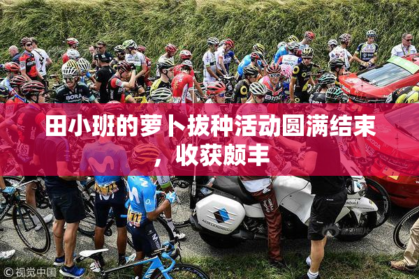 田小班的萝卜拔种活动圆满结束，收获颇丰